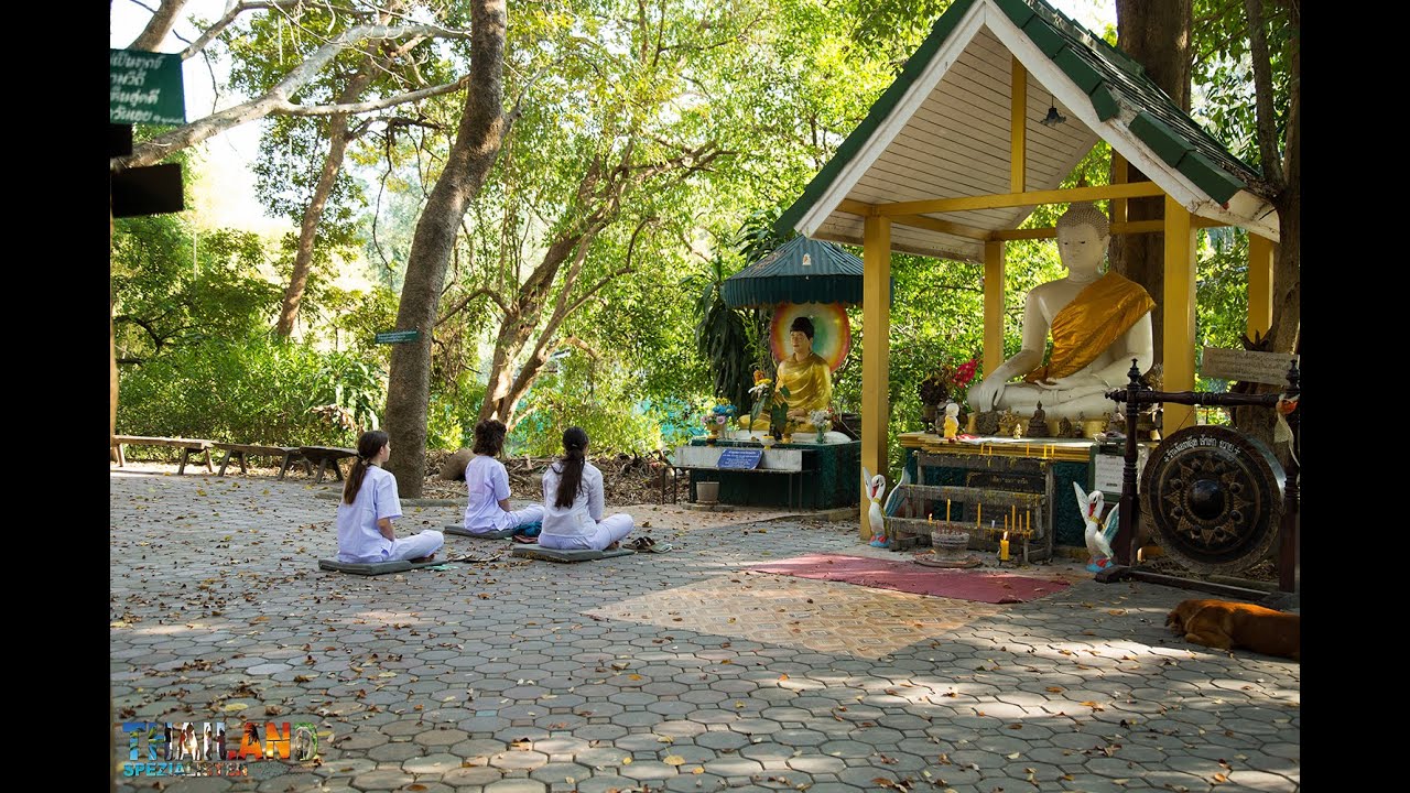 Monkchat Meditation Retreat