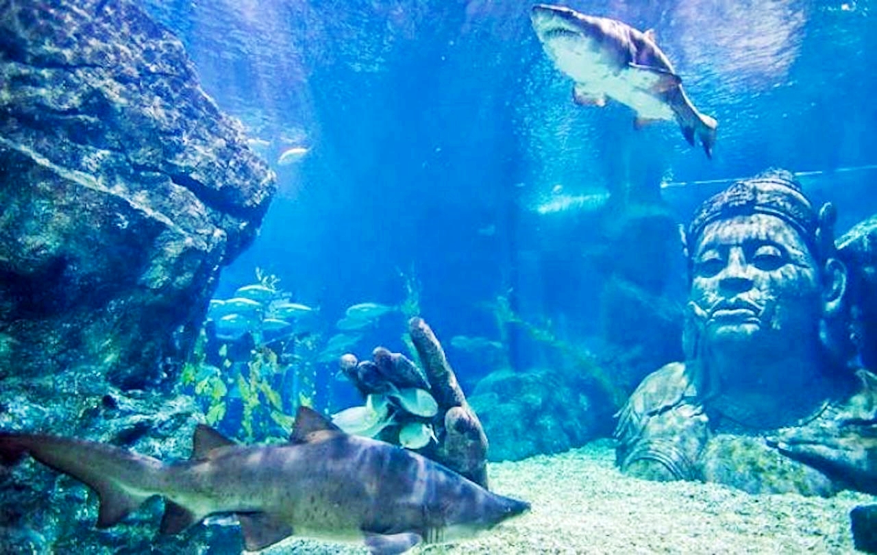 SEA LIFE Bangkok Ocean World