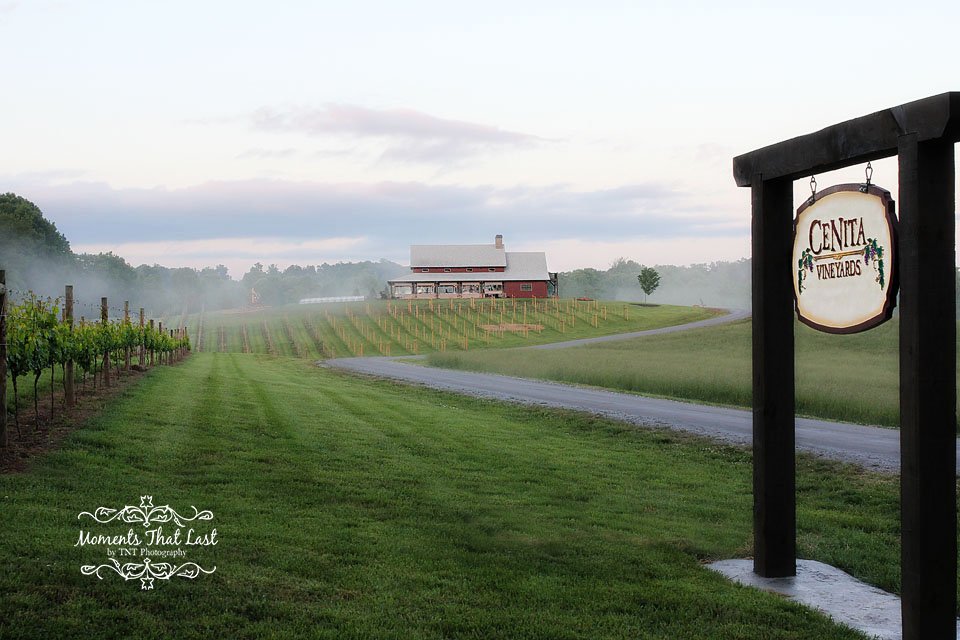CeNita Vineyards and Winery