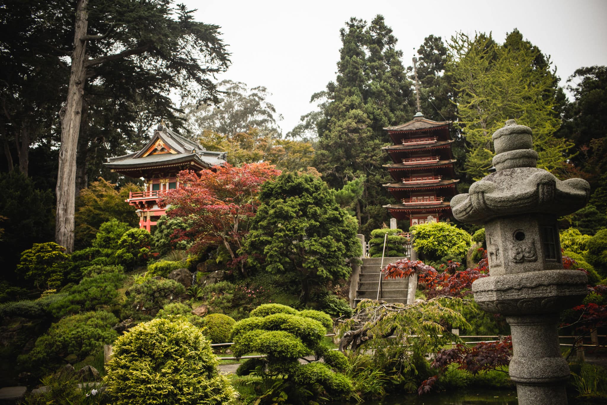 Japanese Tea Garden