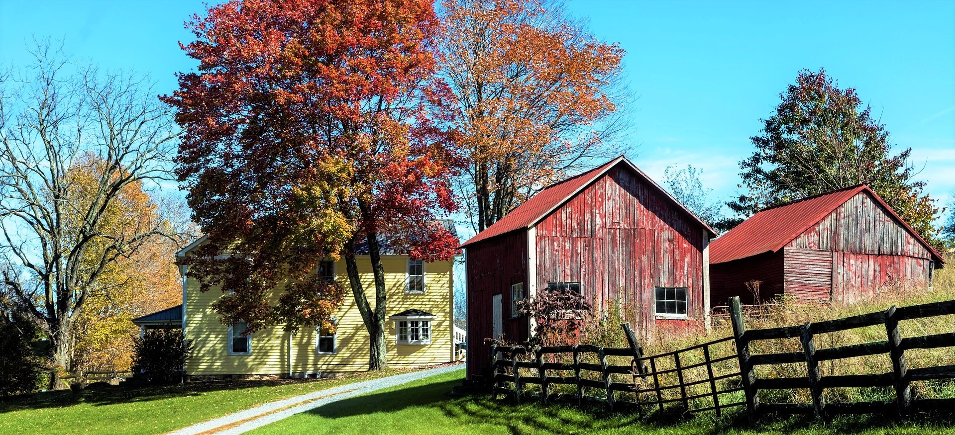 Matfield Maple Farm