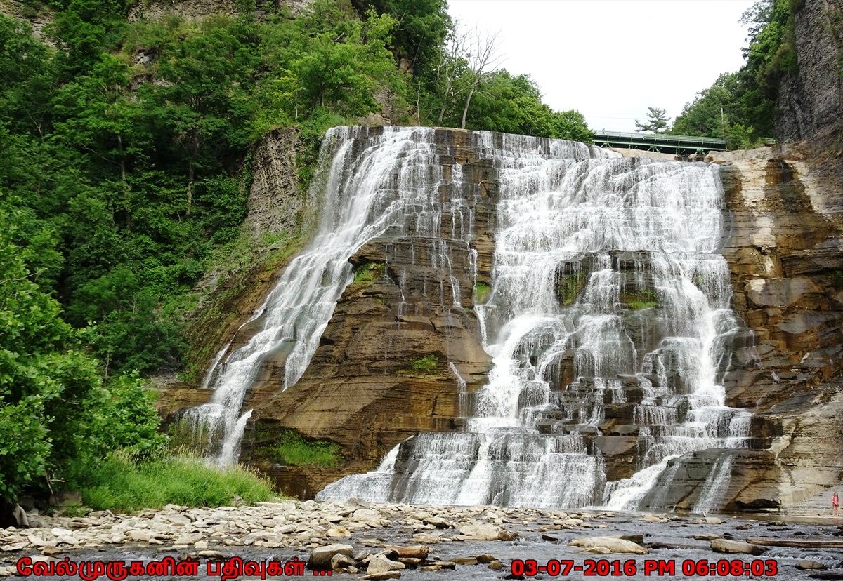 Ithaca Falls Natural Area