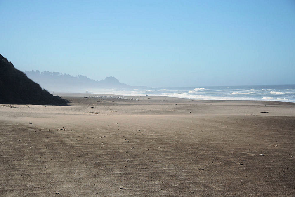 Gleneden Beach State Park