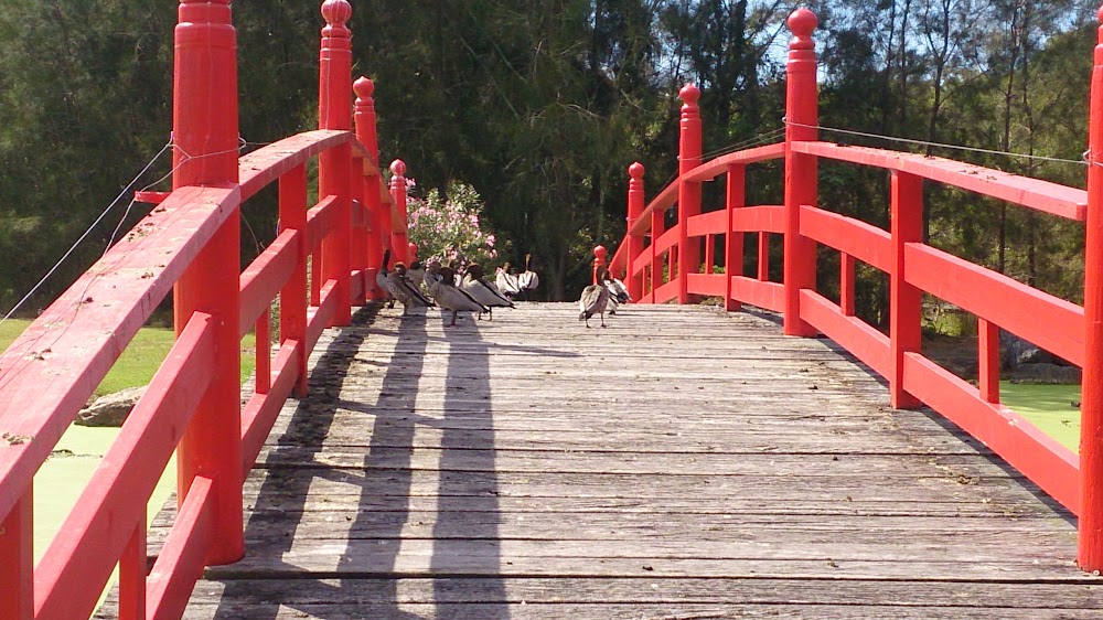 North Coast Regional Botanic Garden