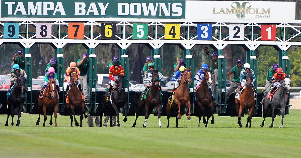 Tampa Bay Downs