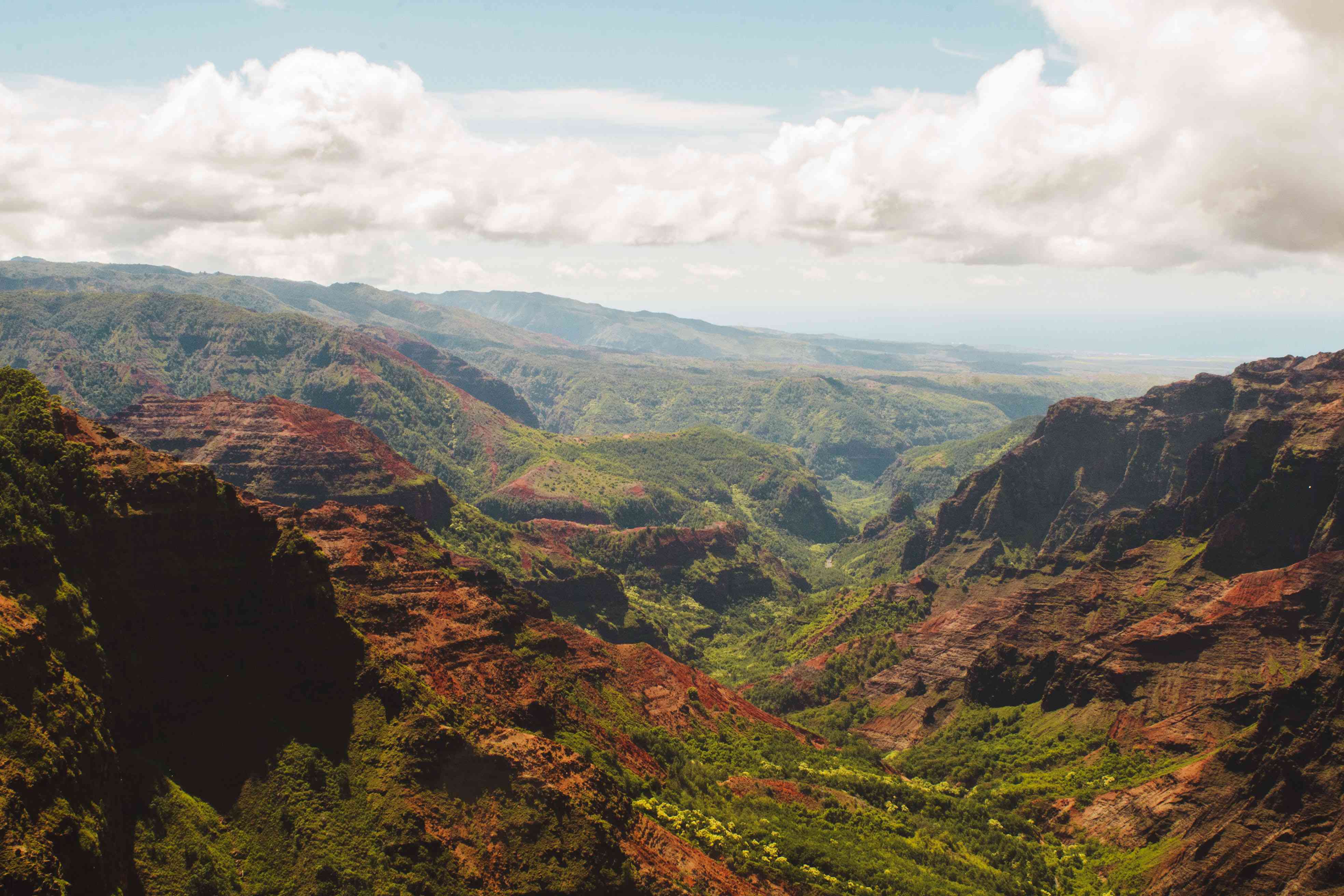 Waimea Center