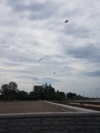 Seacliff Park
