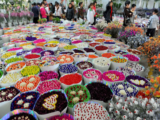 Flowers and Birds Market of Kunming