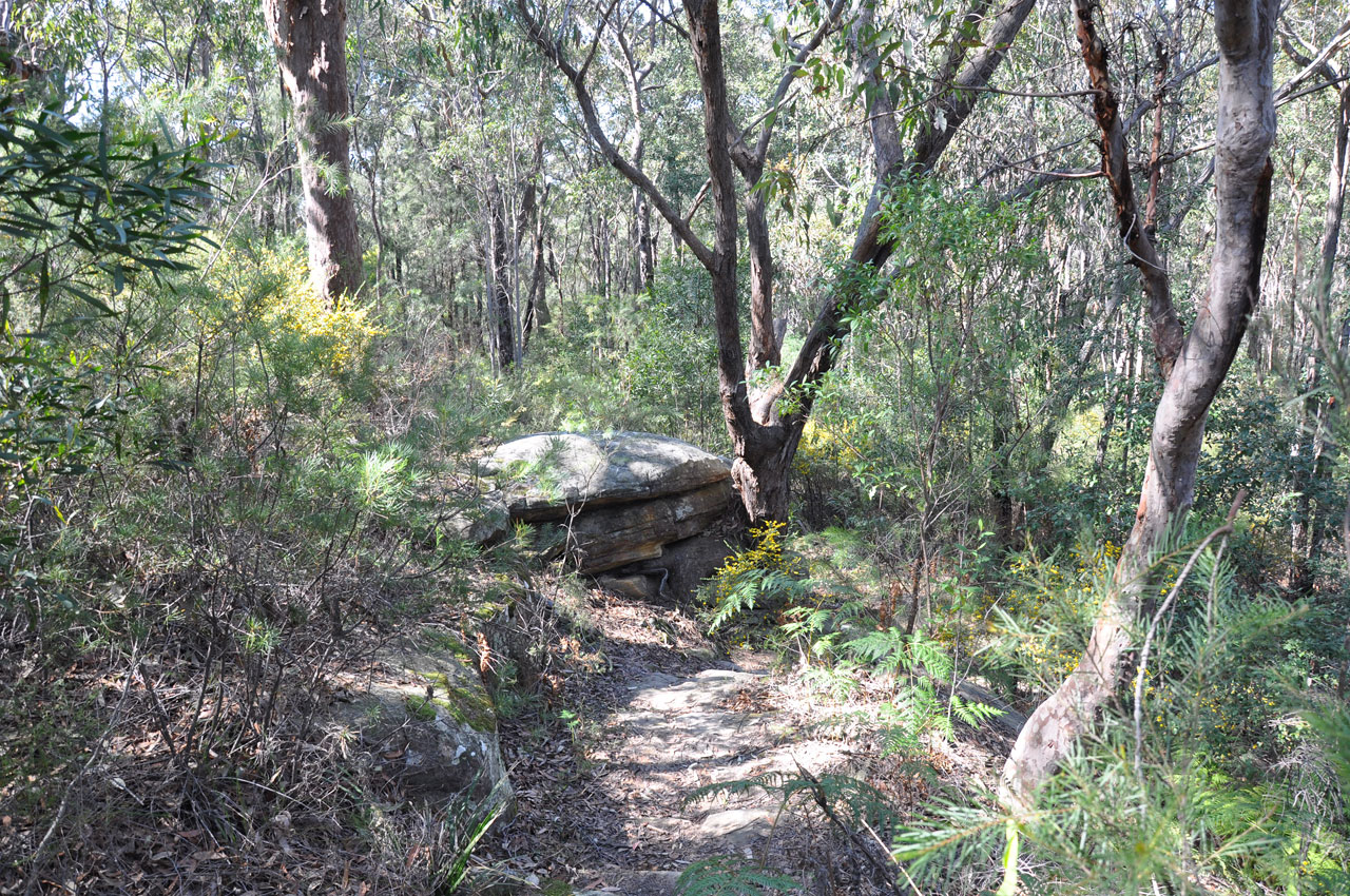 Koorong