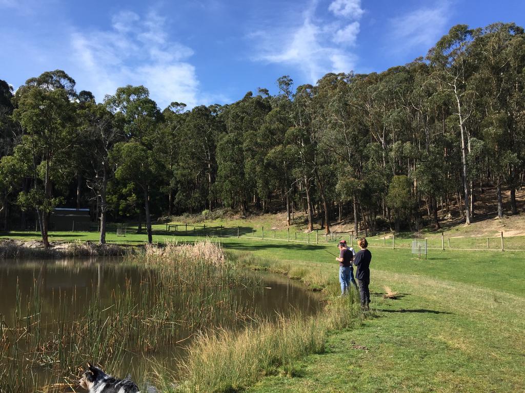 Tarago Reservoir Park