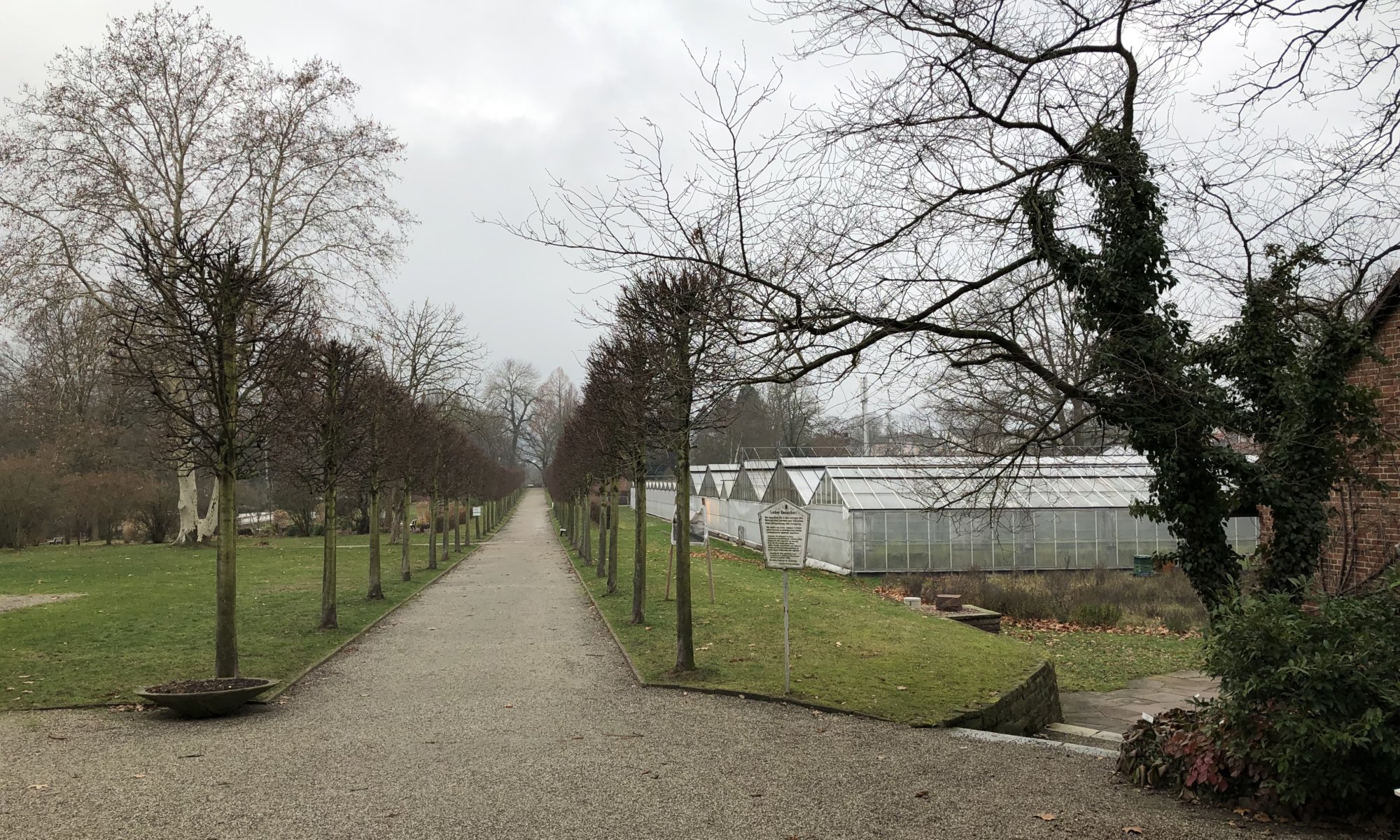 Botanischer Garten Kassel