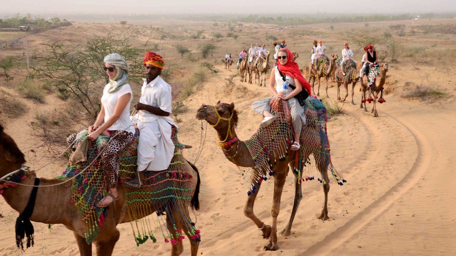 Pushkar Camel Safari