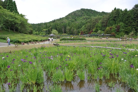 Eitakuji Temple