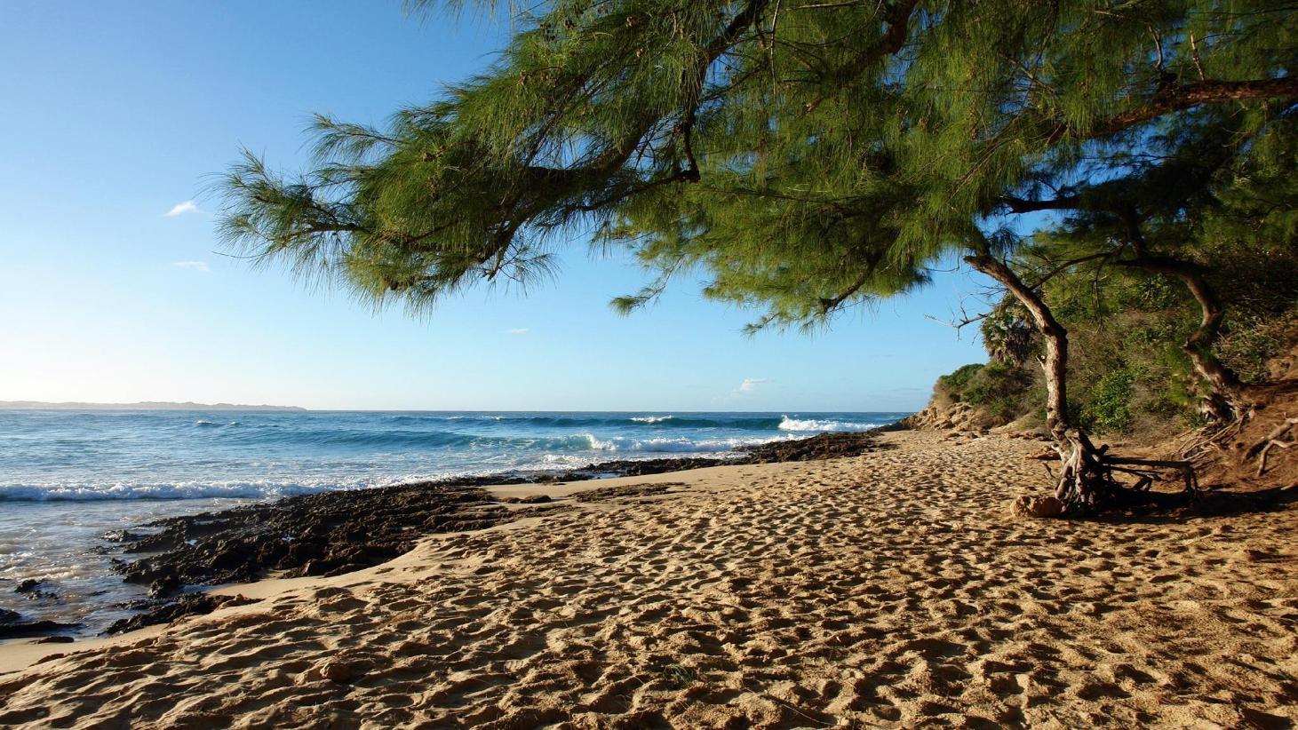 Praia do Tofo