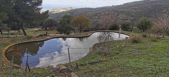 Tower Bridge
