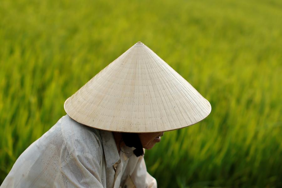 Xang Keb Nam Khlong Hat Som Pan