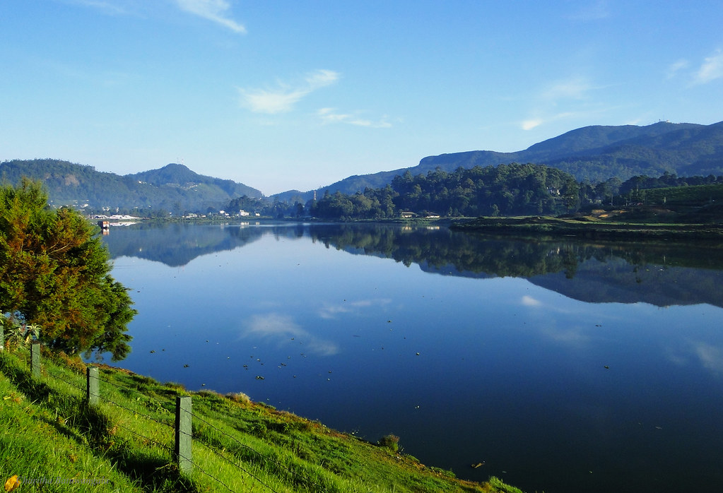Gregory Lake