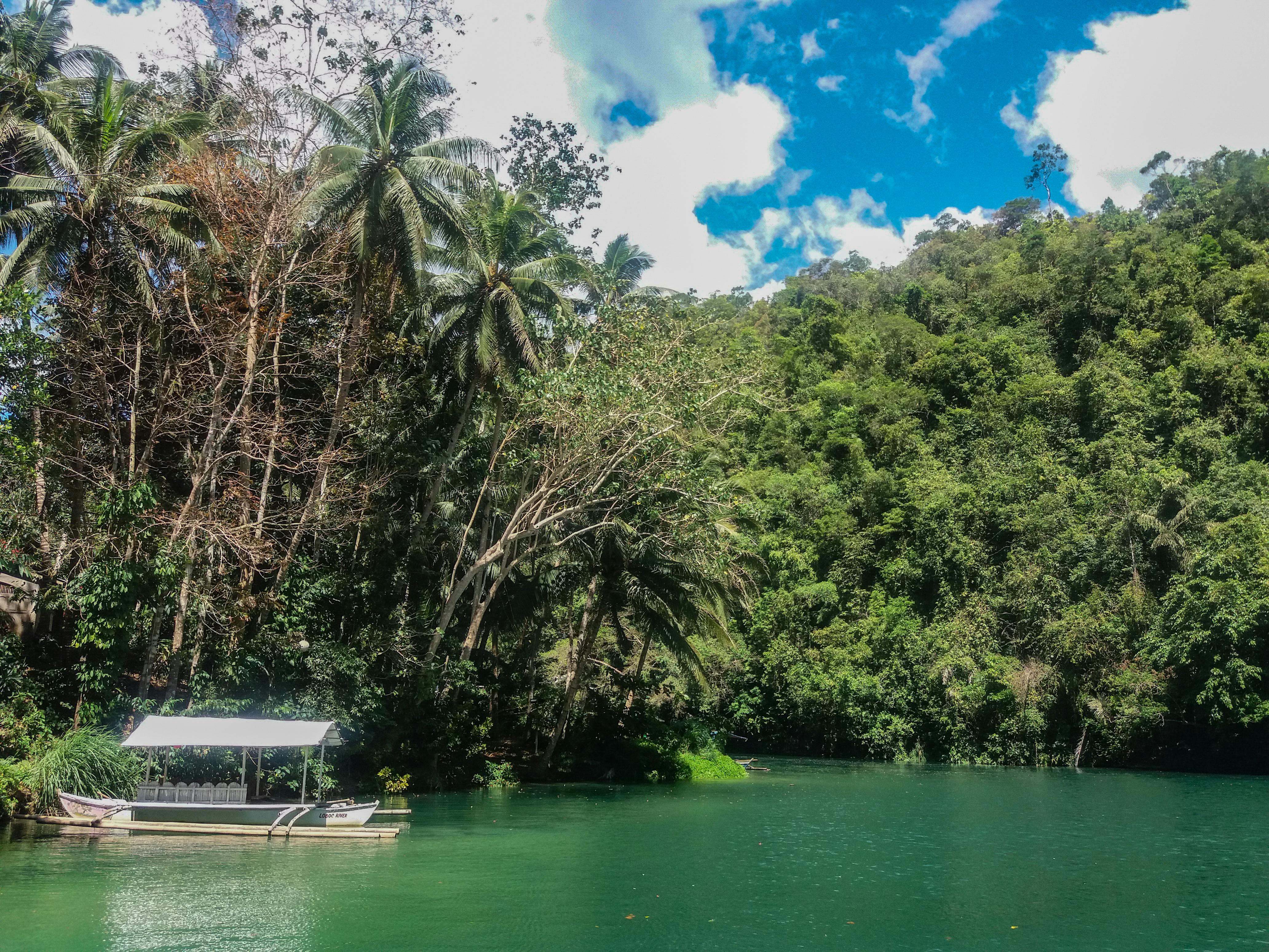 Loboc Wildlife & Nature Park