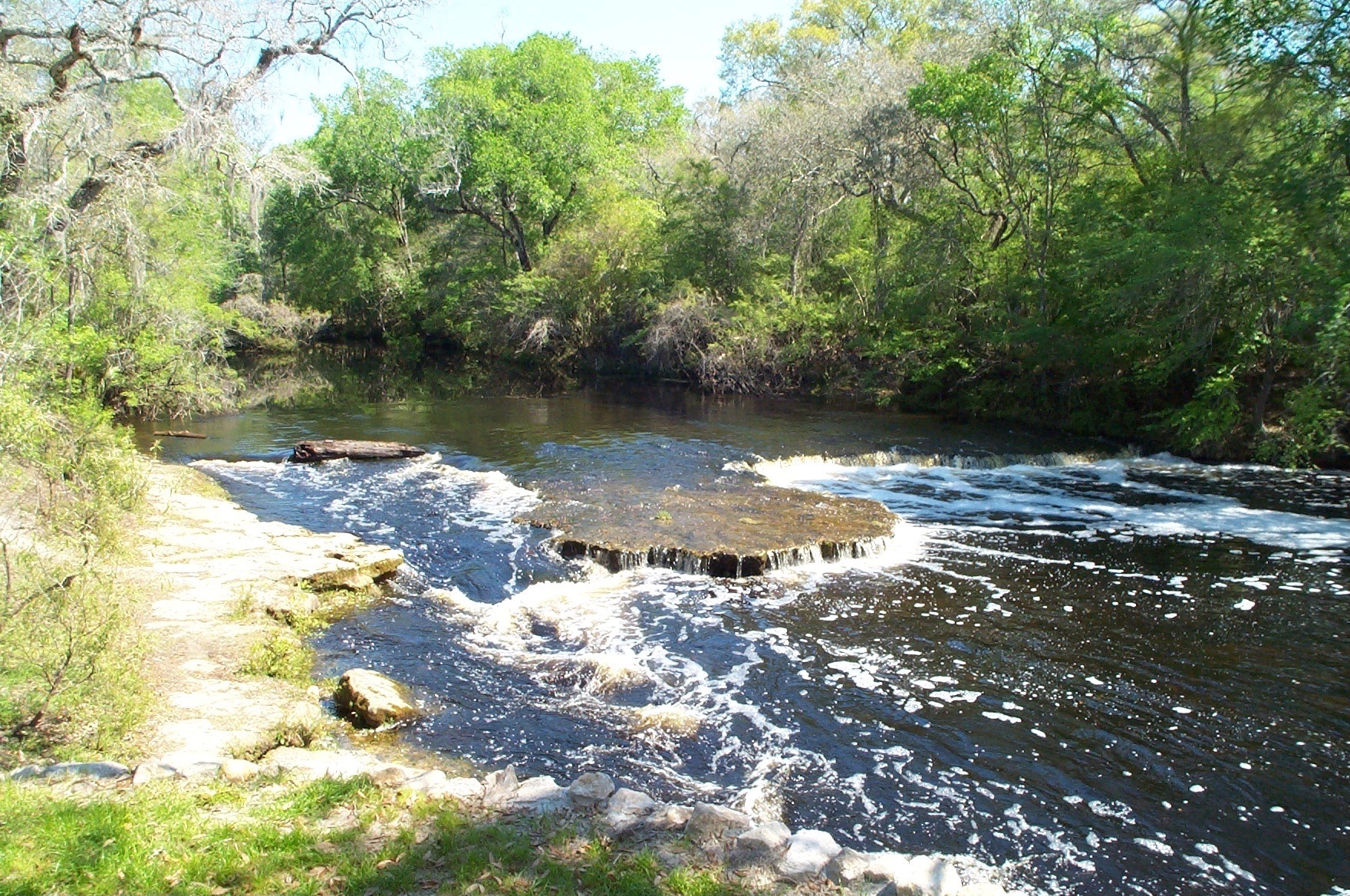 Steinhatchee River