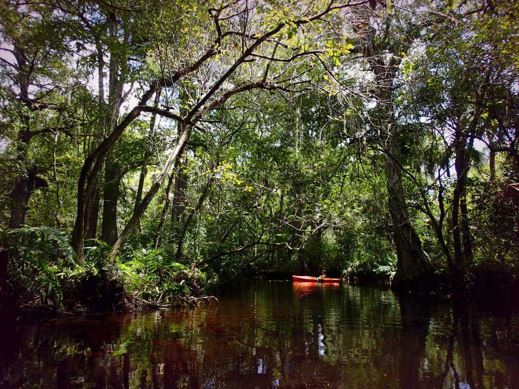 Loxahatchee River