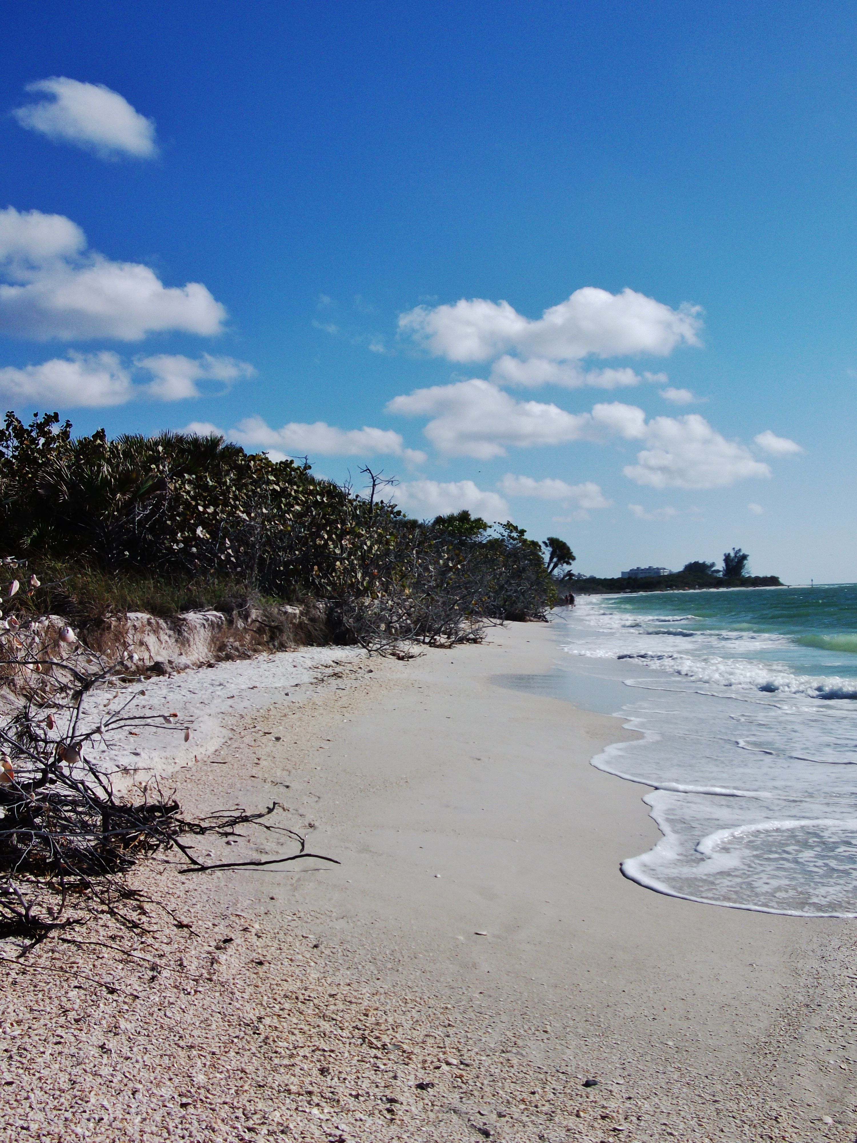 Barefoot Beach Preserve