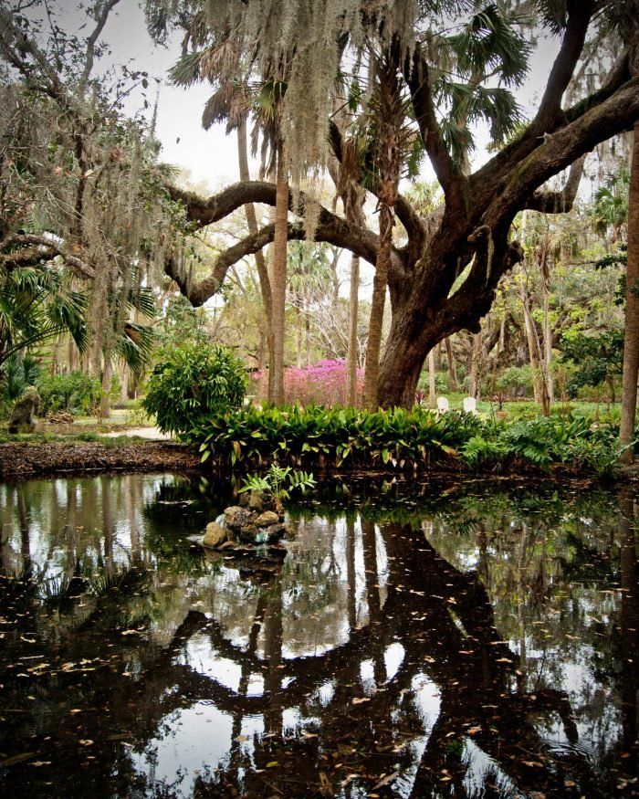 Washington Oaks Gardens State Park