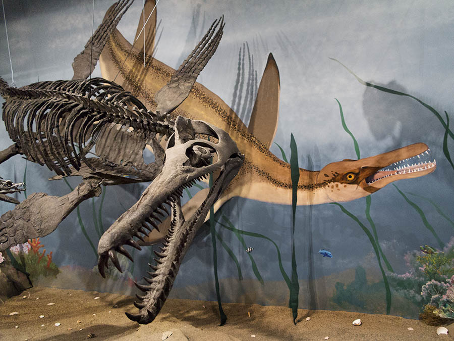 Glendive Dinosaur & Fossil Museum