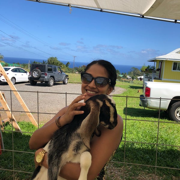 Honomu Goat Dairy