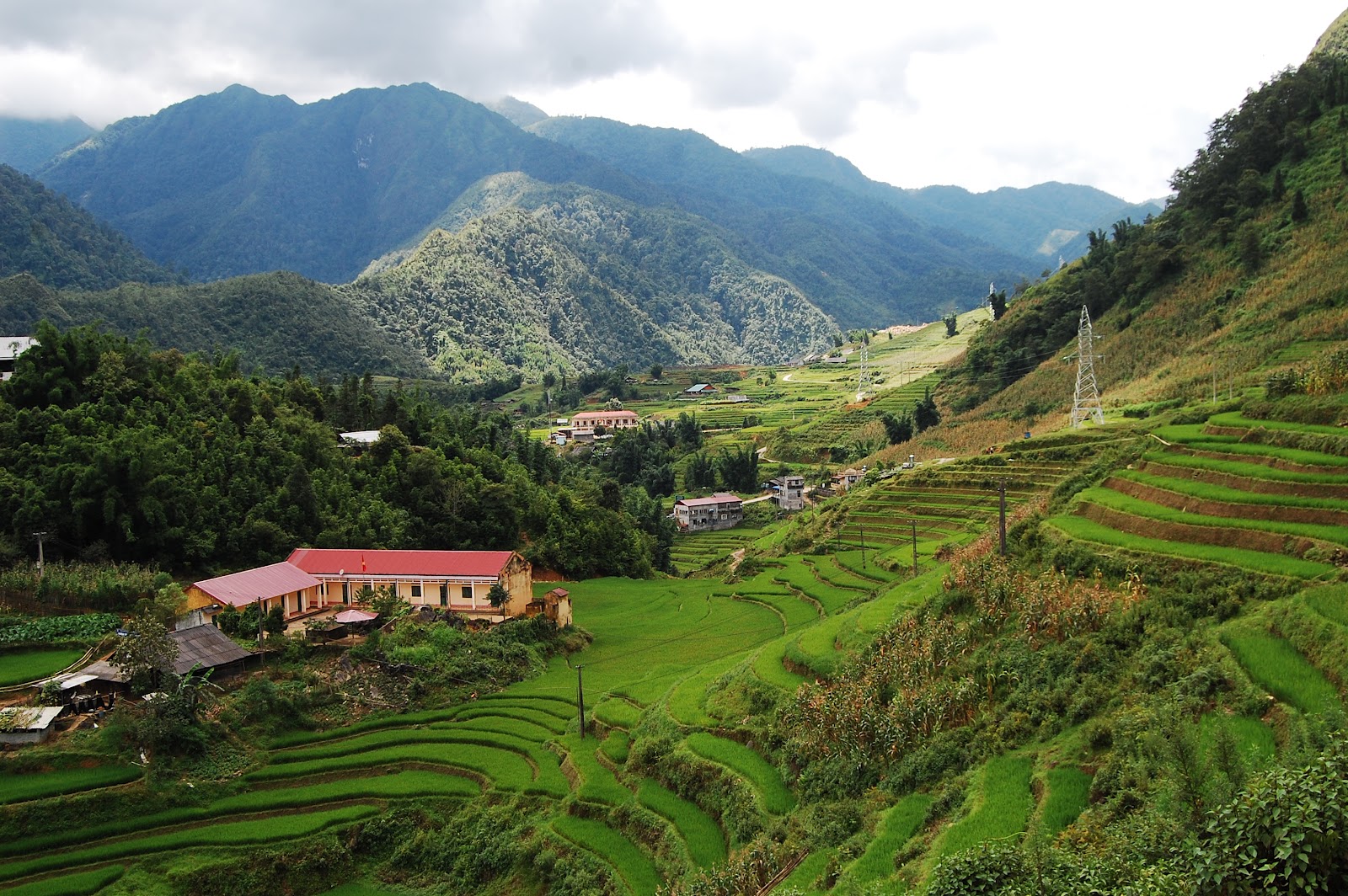 Sapa Spider Bar