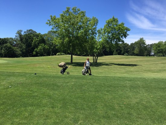 V Golf
