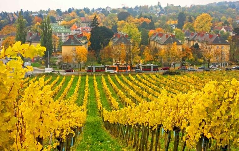 Höhere Bundeslehranstalt und Bundesamt für Wein- und Obstbau