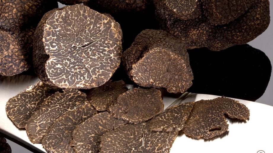 Fresque "La Truffe"