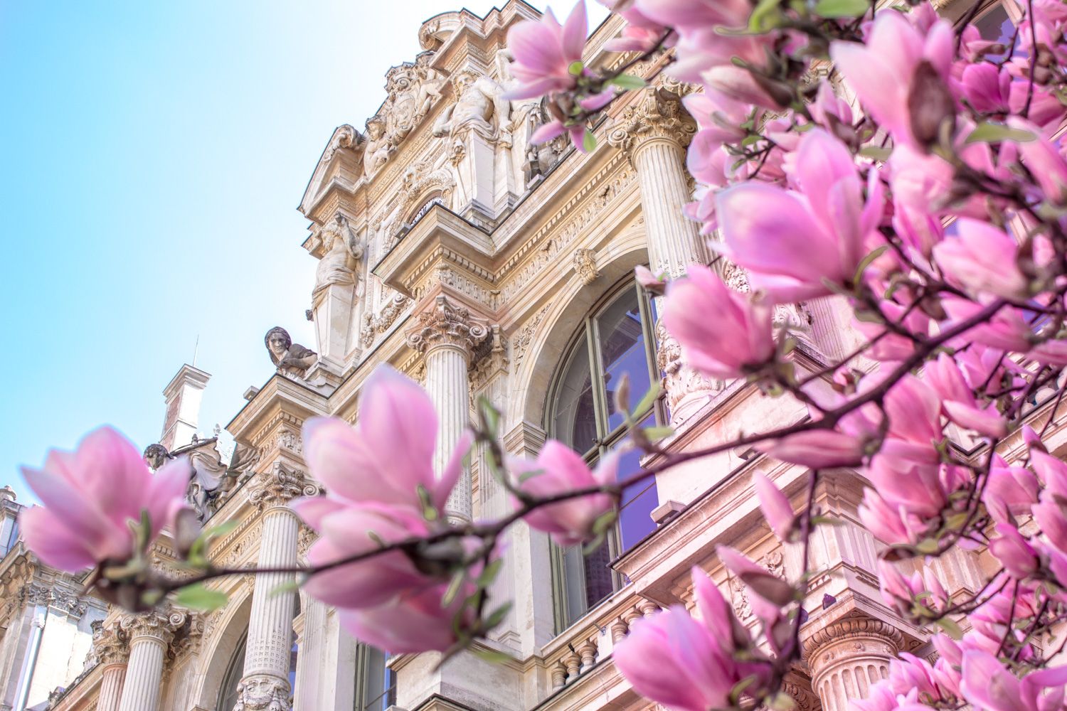 Le Printemps