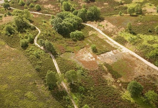 Hoge Kempen National Park