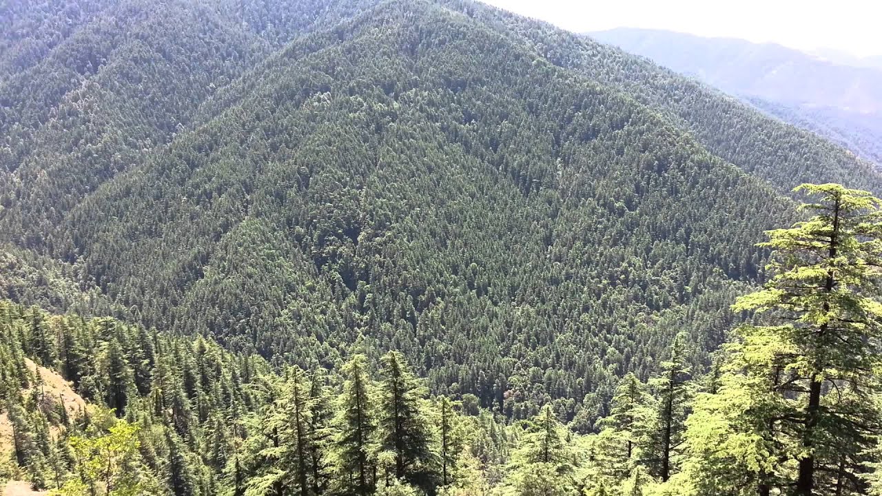 Green Valley