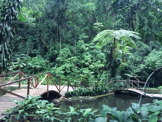 Jardin Botanico La Laguna