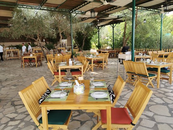 Mountain Breeze Lodge and Resort