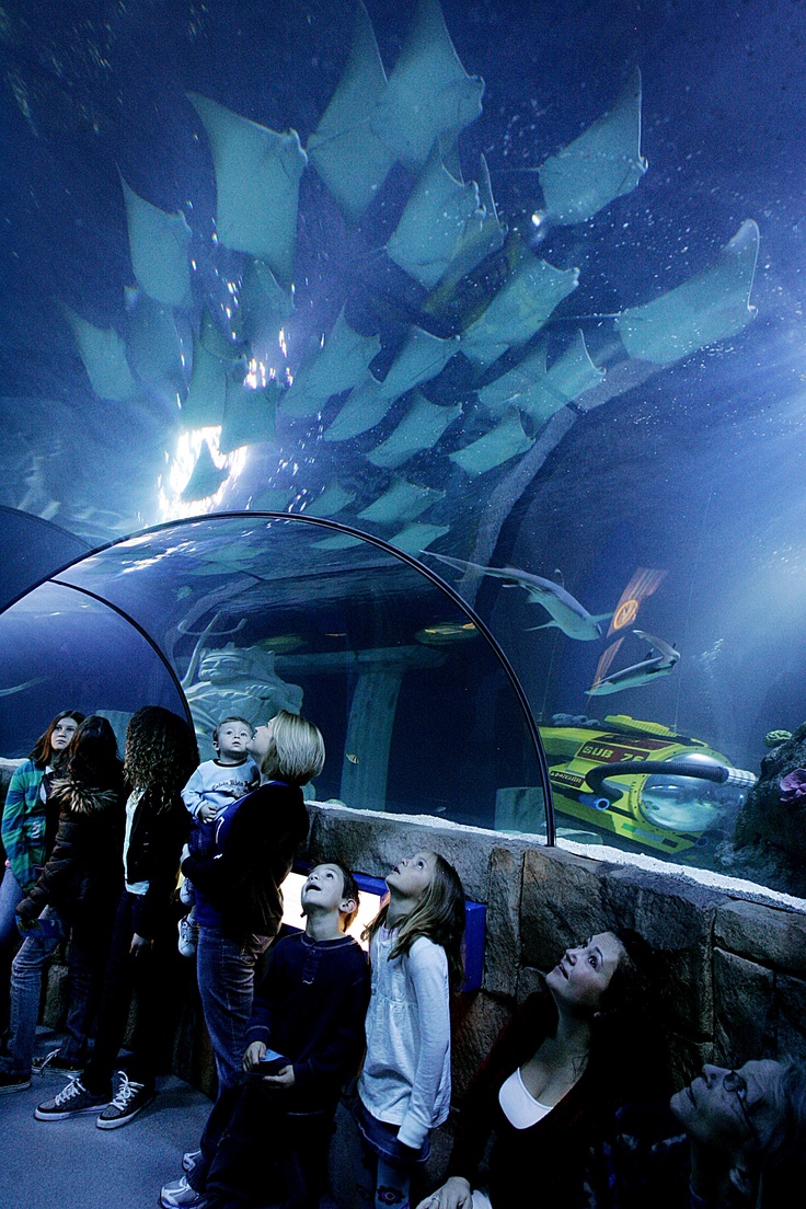 Sea Life Aquarium