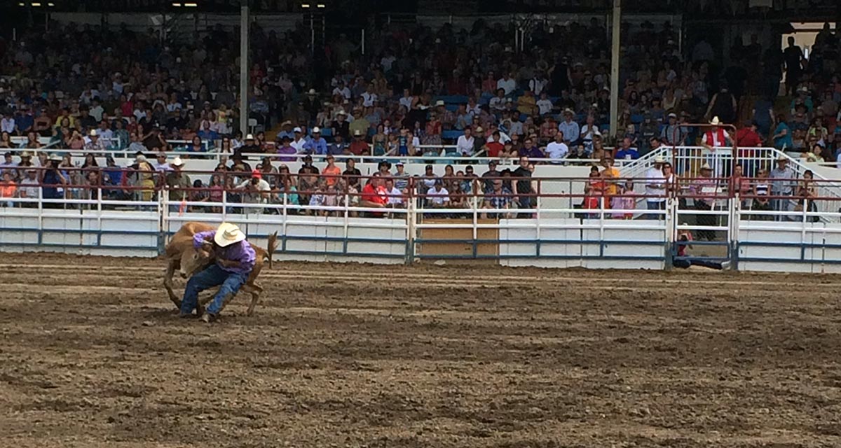 Prescott Frontier Days, World's Oldest Rodeo