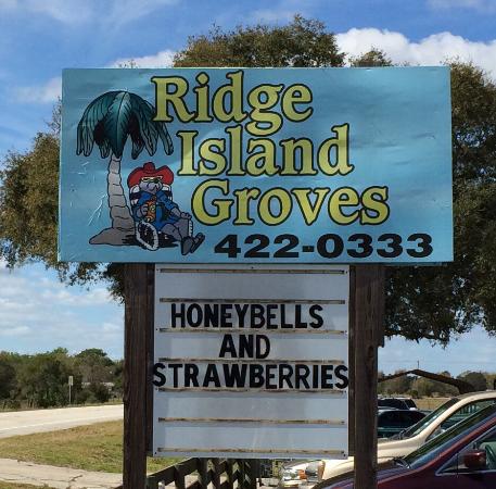Ridge Island Groves
