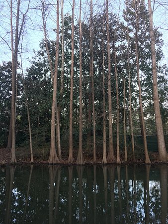 Hatcher Garden and Woodland Preserve