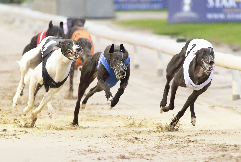 Nottingham Greyhound Stadium