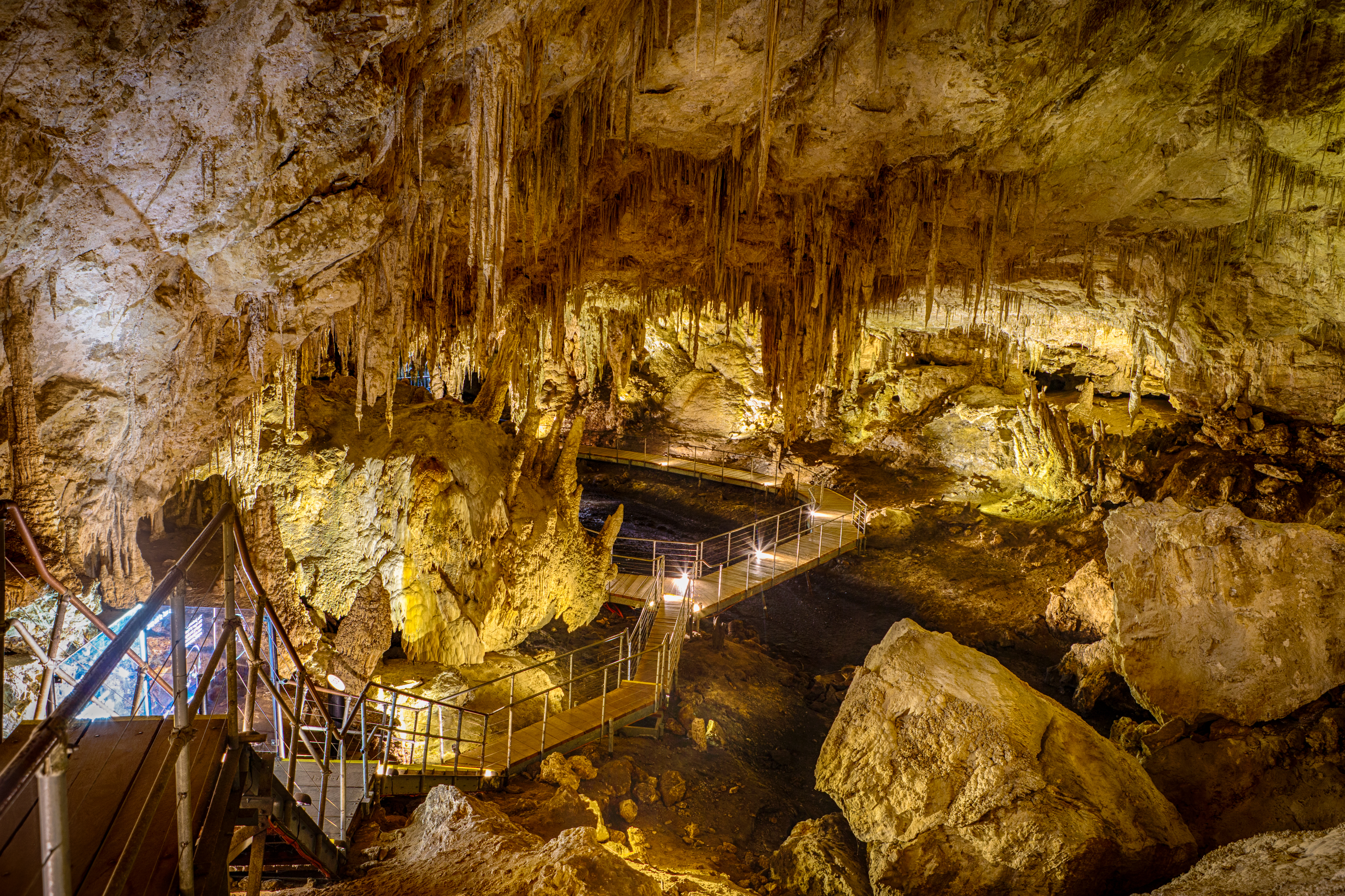 Fish Cavern