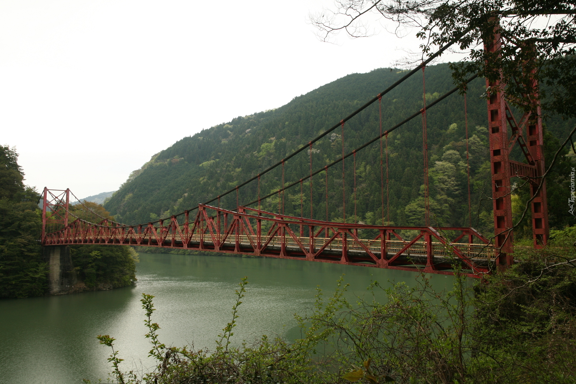 Nagara Bridge