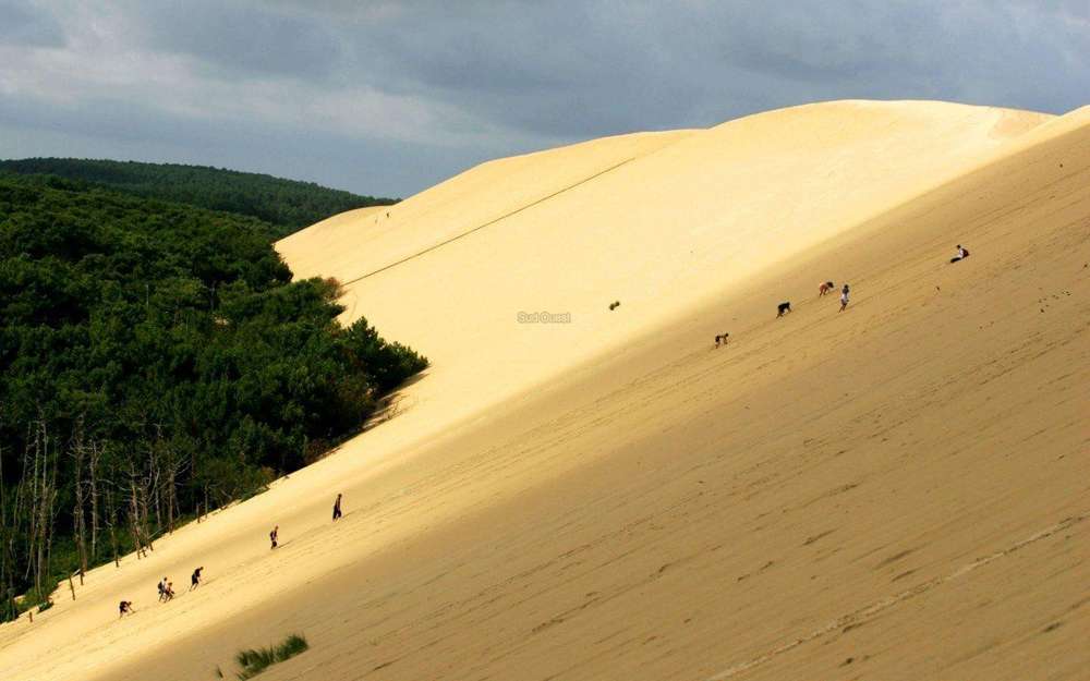 Fukiagehama Coast Dune