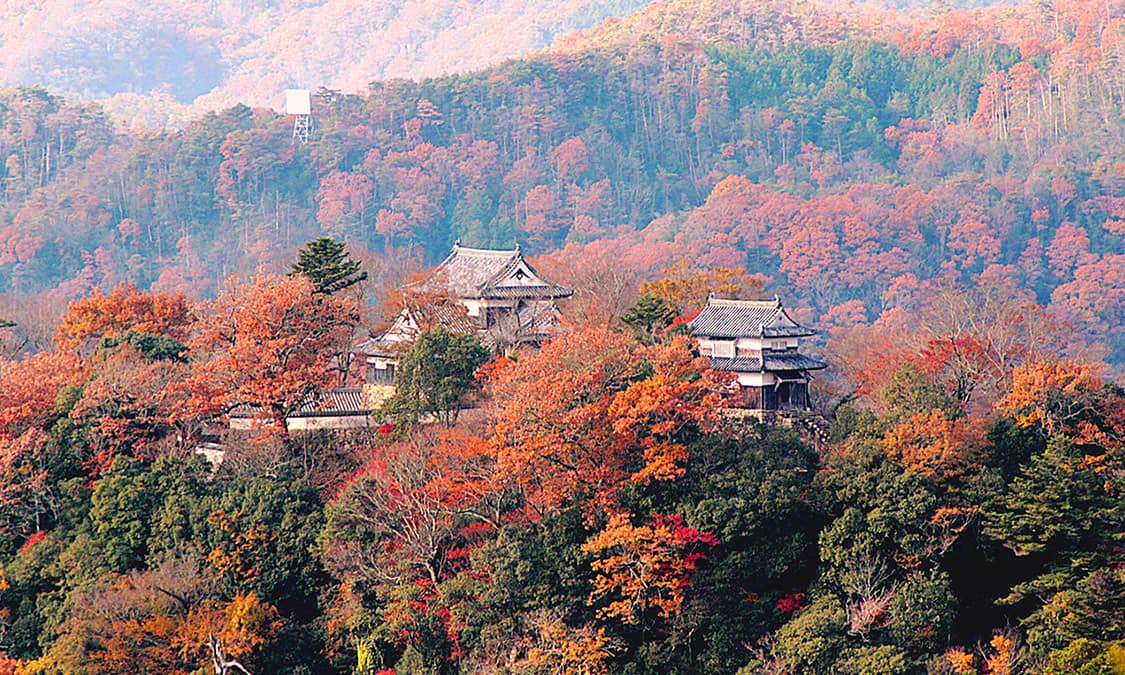 Matsumoto Farm All Icgigo House