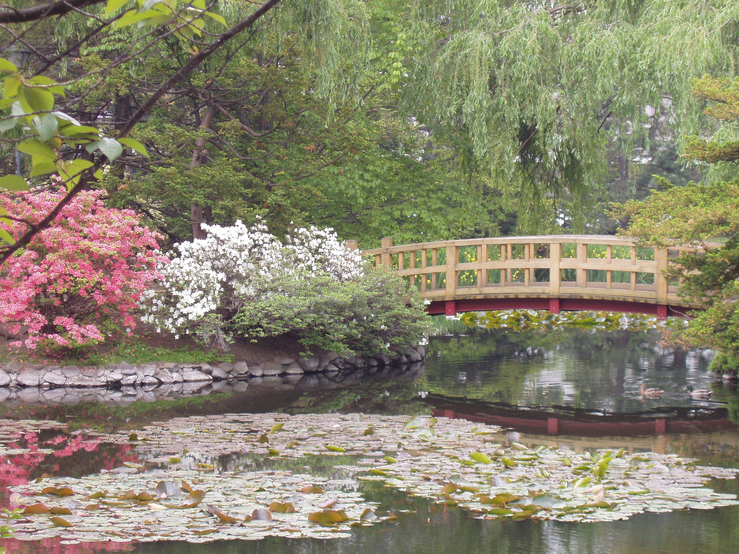 Takayama Botanical Garden