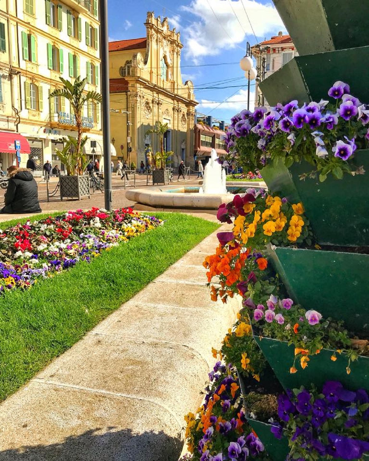 Fiori SanRemo