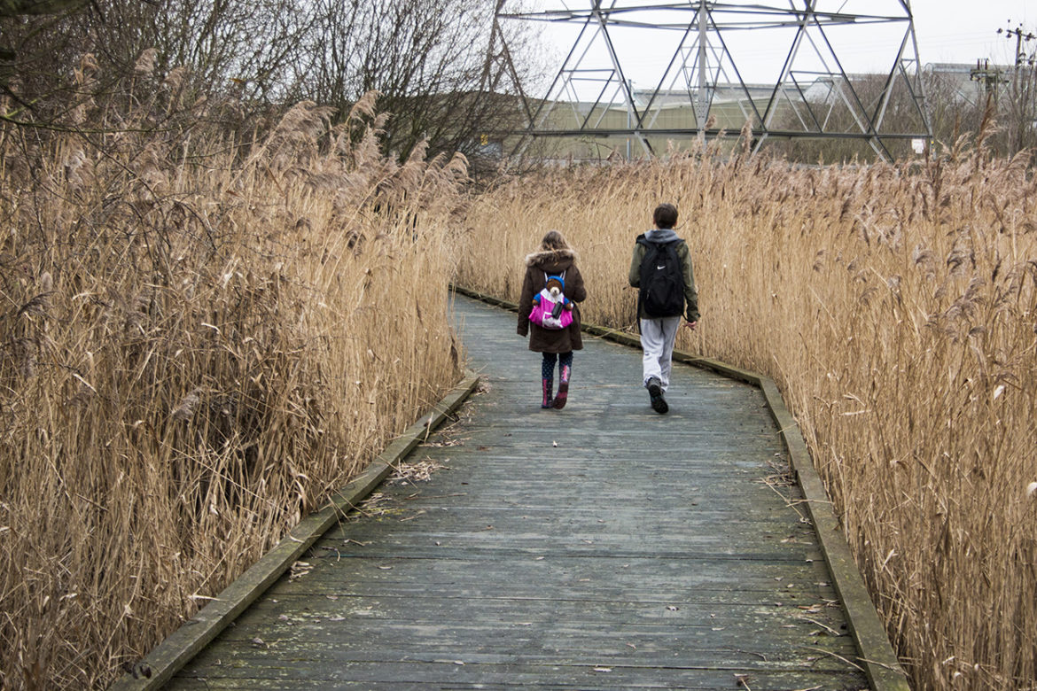 Berengrave Nature Reserve