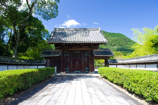 Mt. Oza